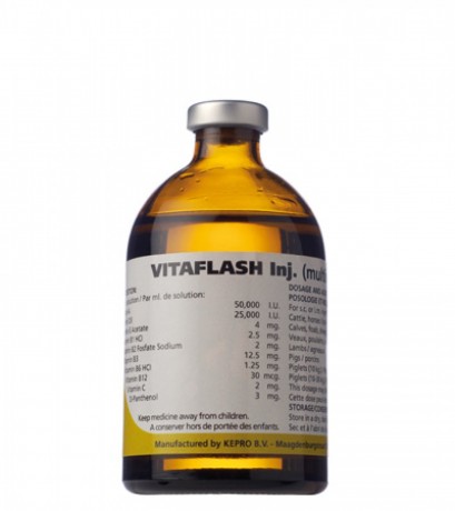 Vitaflash